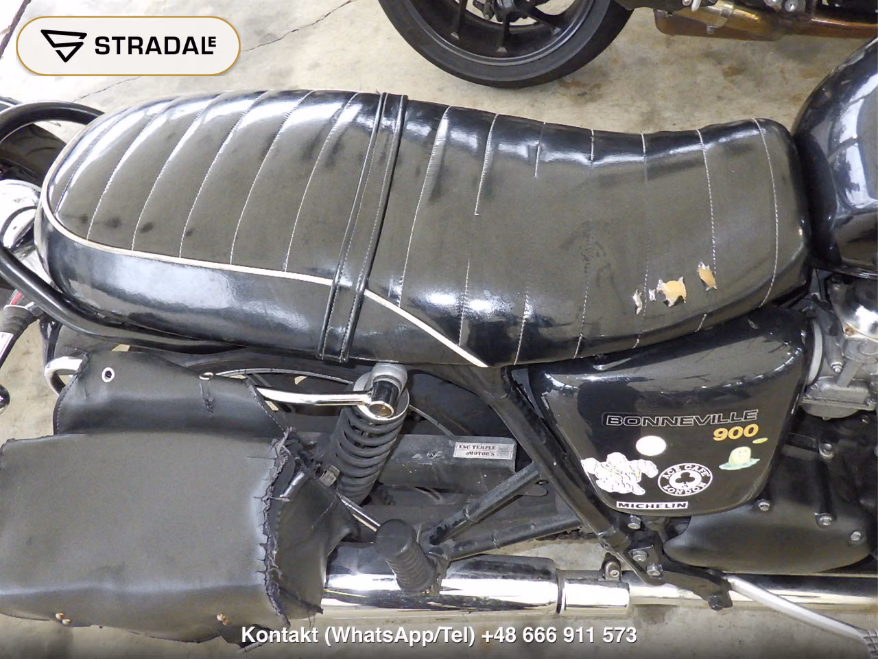 TRIUMPH ﾎﾞﾝﾈﾋﾞﾙ, miniaturka 10