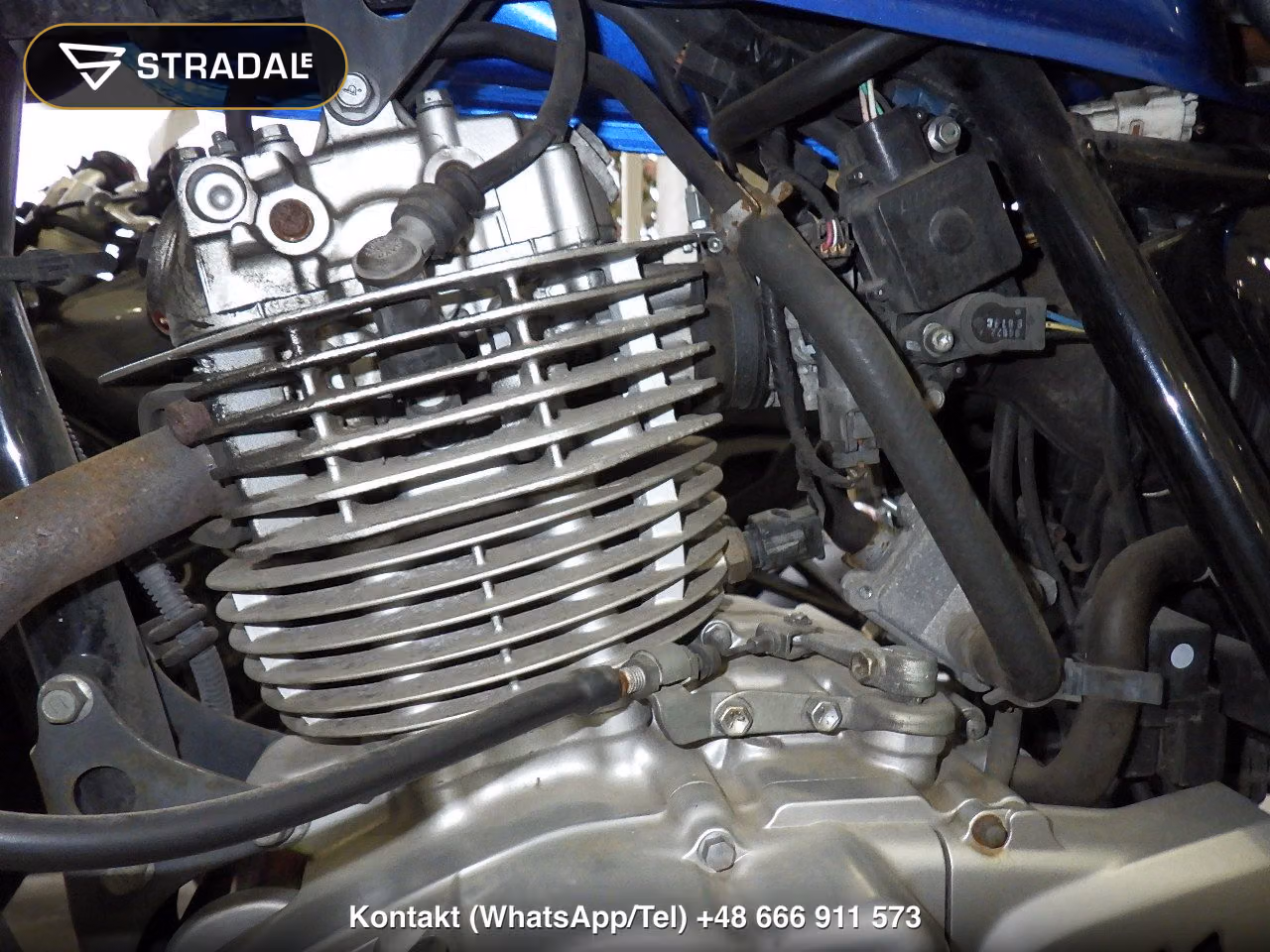 SUZUKI ｸﾞﾗｽﾄﾗｯｶｰﾋﾞｯｸﾞﾎﾞｰｲ, miniaturka 5