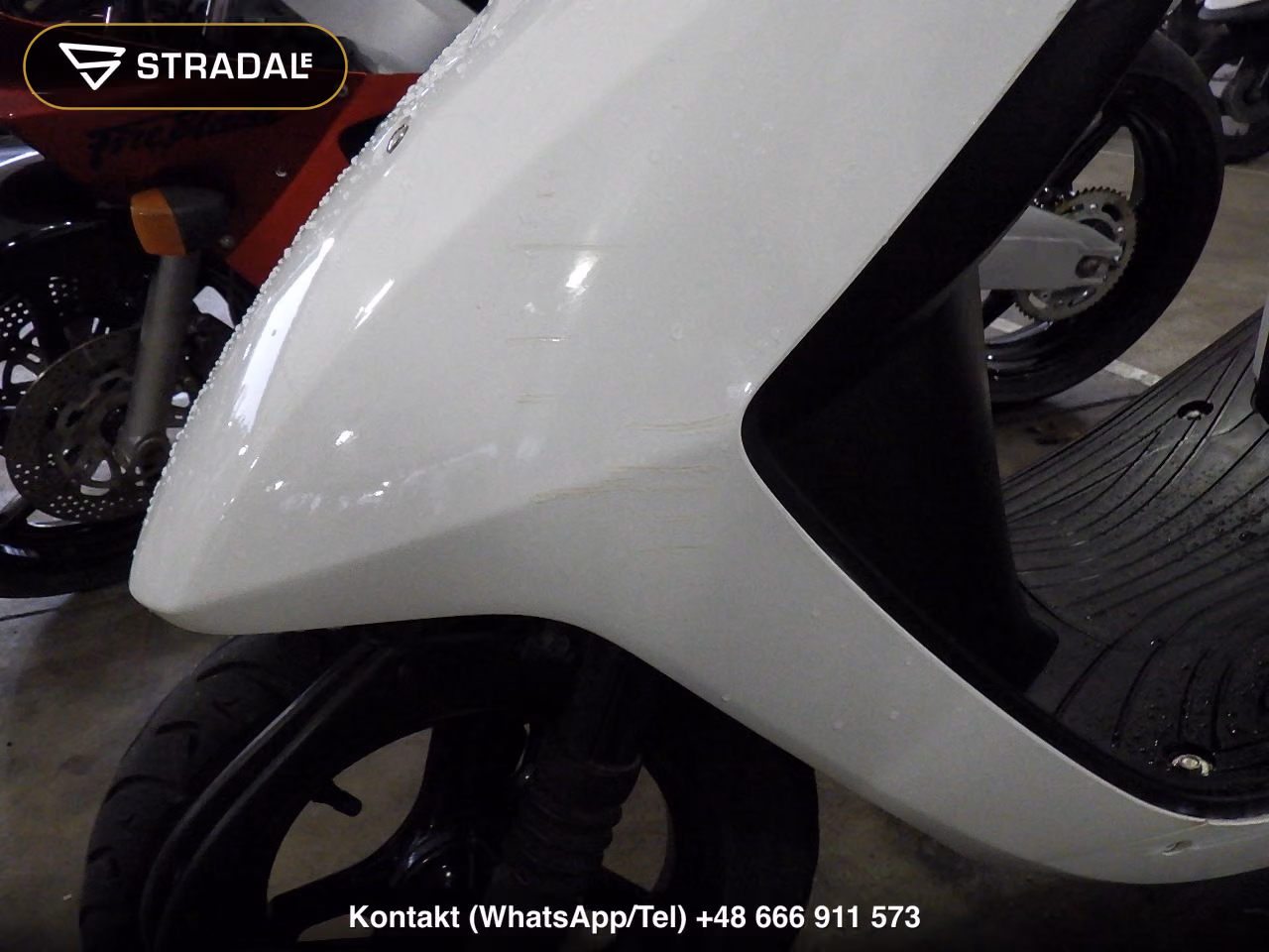 HONDA DIO-6, miniaturka 12
