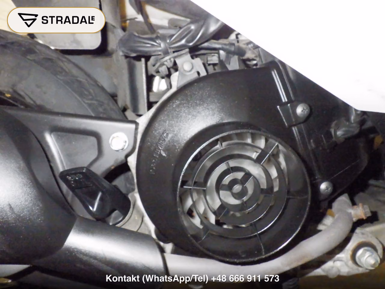 HONDA DIO-6, miniaturka 5