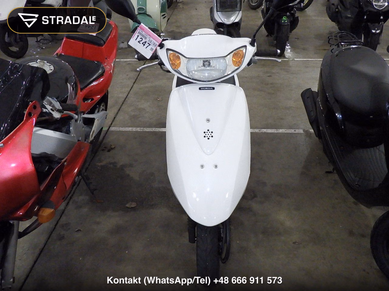 HONDA DIO-6, miniaturka 6