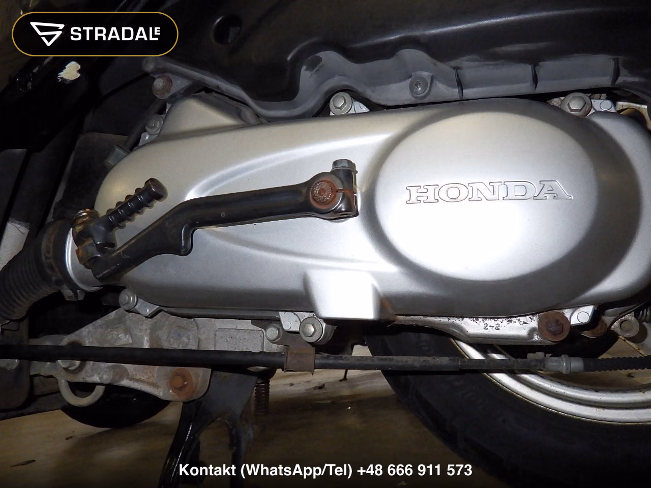 HONDA DIO-6, miniaturka 2