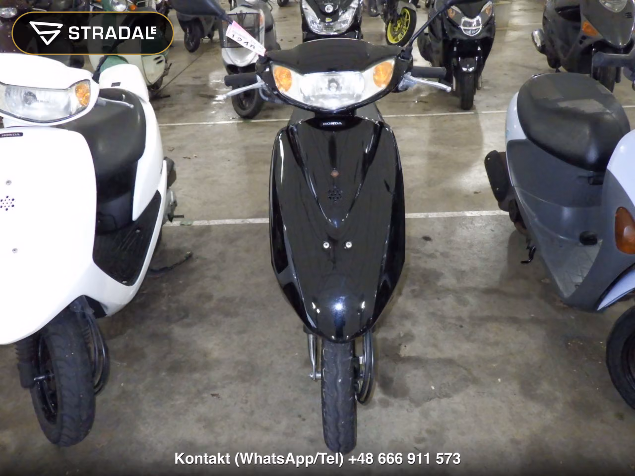 HONDA DIO-6, miniaturka 6