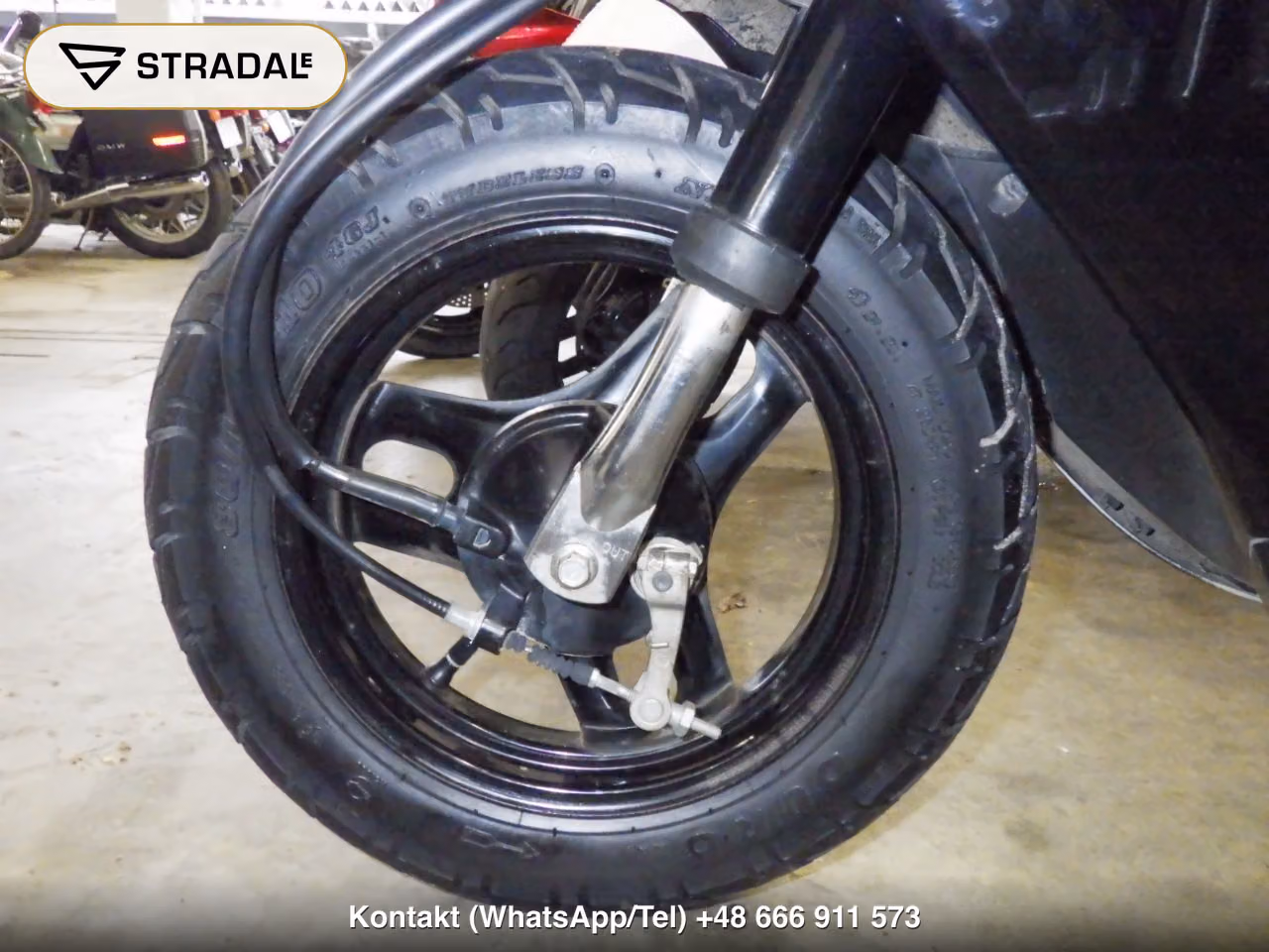 HONDA DIO-6, miniaturka 8