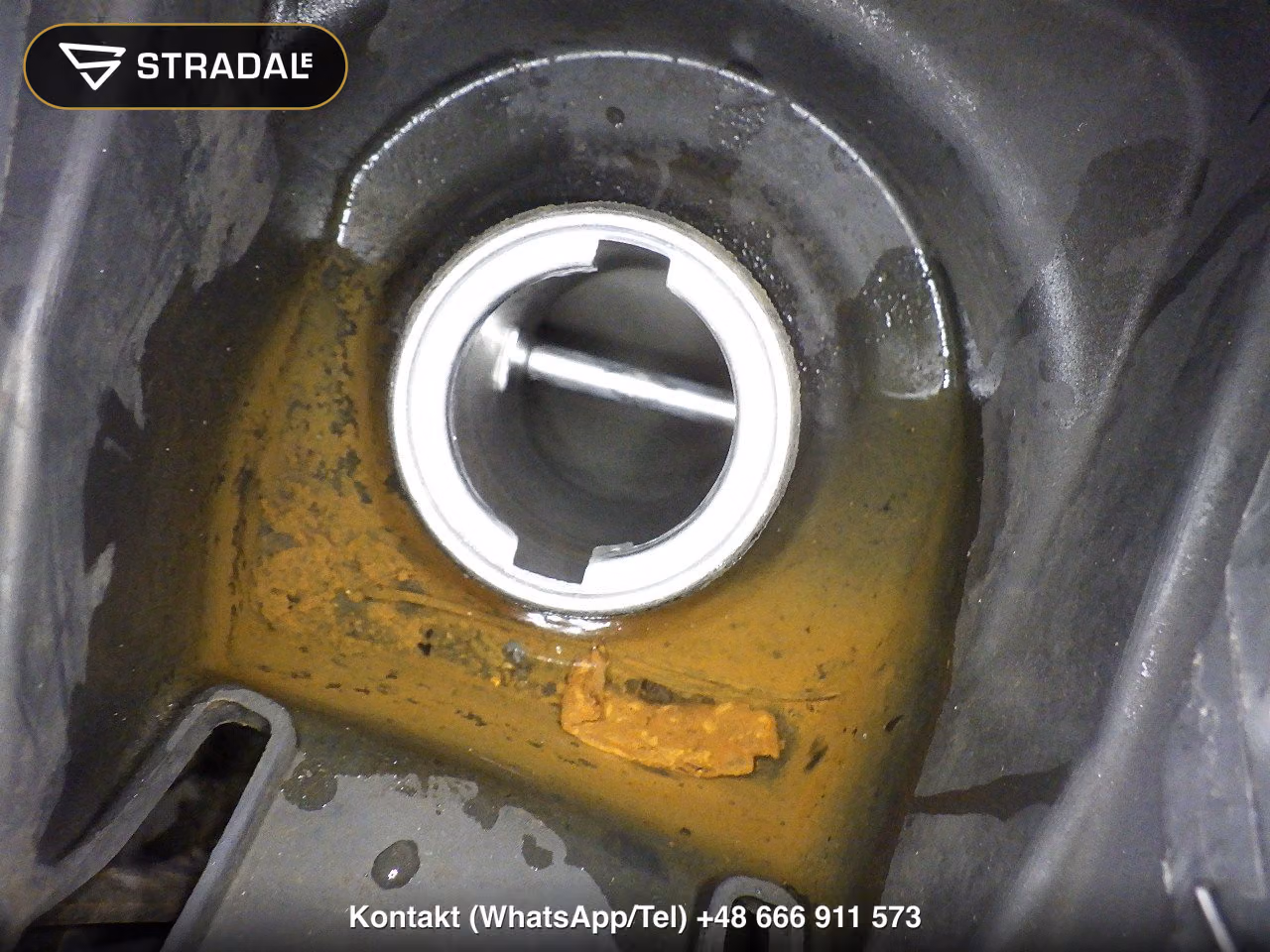 HONDA ﾌｪｲｽﾞ, miniaturka 10
