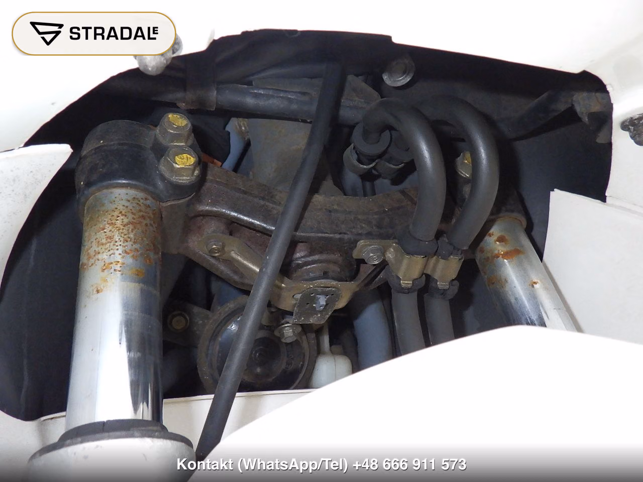 HONDA ﾌｫｰｻｲﾄSE, miniaturka 7