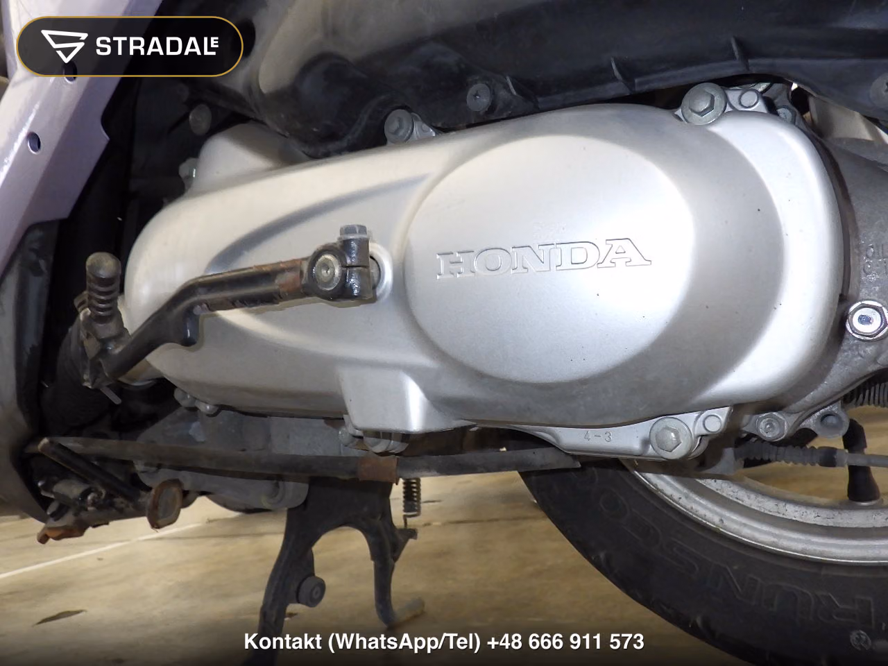 HONDA DIOﾁｪｽﾀ-2, miniaturka 4