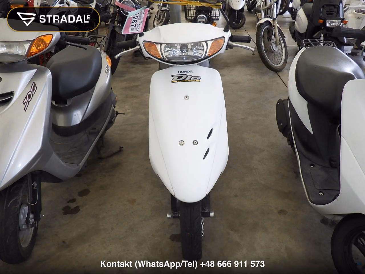 HONDA DIO-3, miniaturka 6