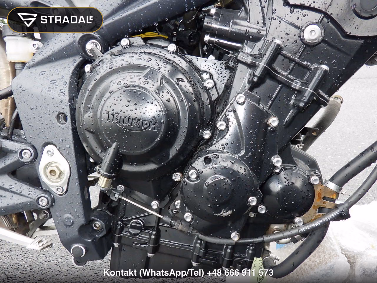 TRIUMPH ｽﾄﾘｰﾄﾄﾘﾌﾟﾙR, miniaturka 2