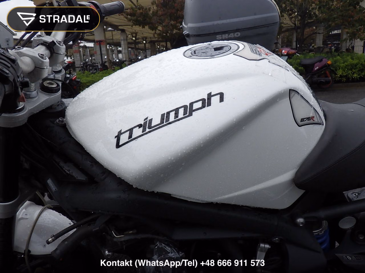 TRIUMPH ｽﾄﾘｰﾄﾄﾘﾌﾟﾙR, miniaturka 11