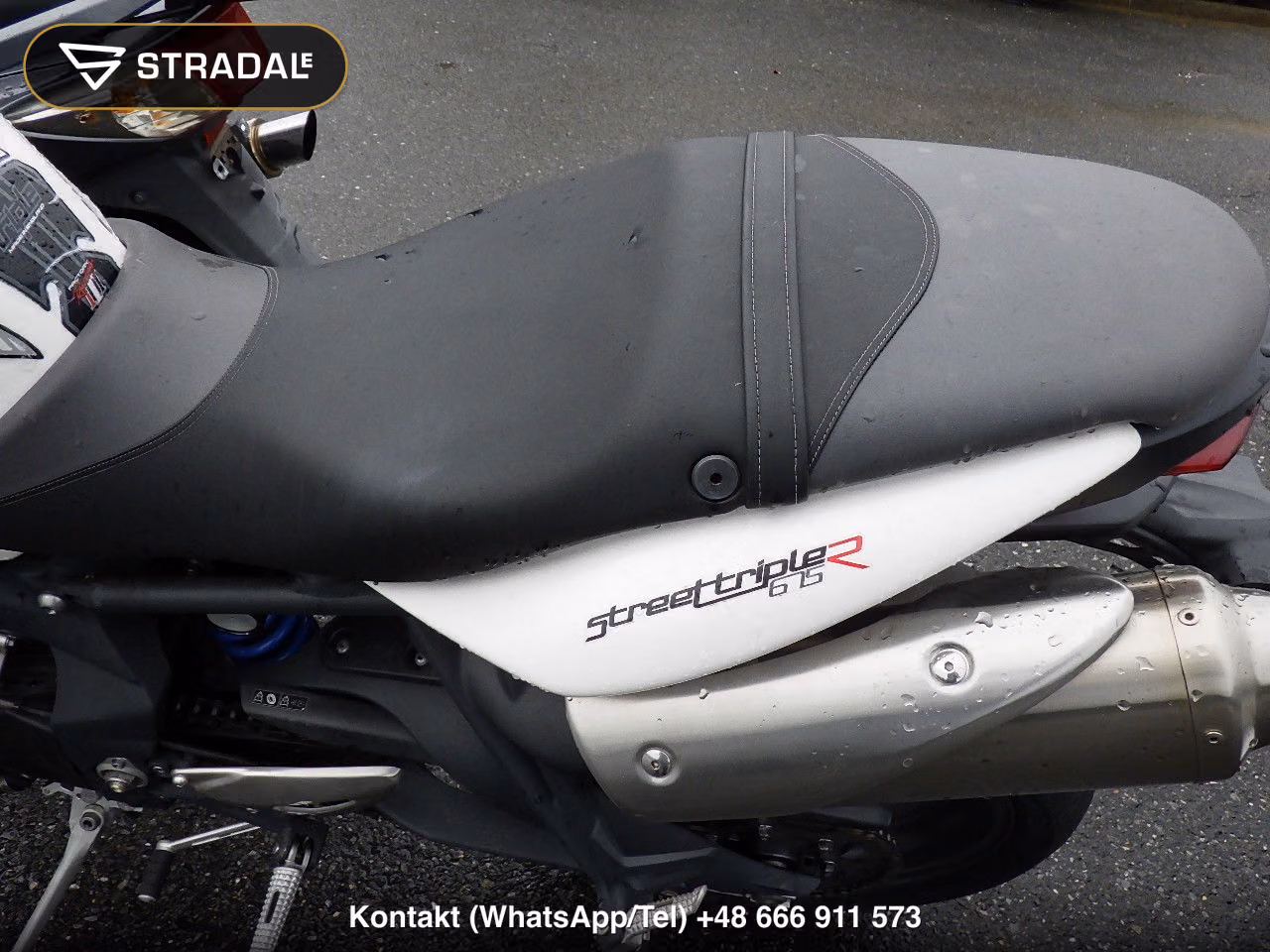 TRIUMPH ｽﾄﾘｰﾄﾄﾘﾌﾟﾙR, miniaturka 12
