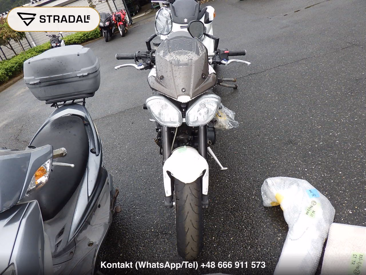 TRIUMPH ｽﾄﾘｰﾄﾄﾘﾌﾟﾙR, miniaturka 6