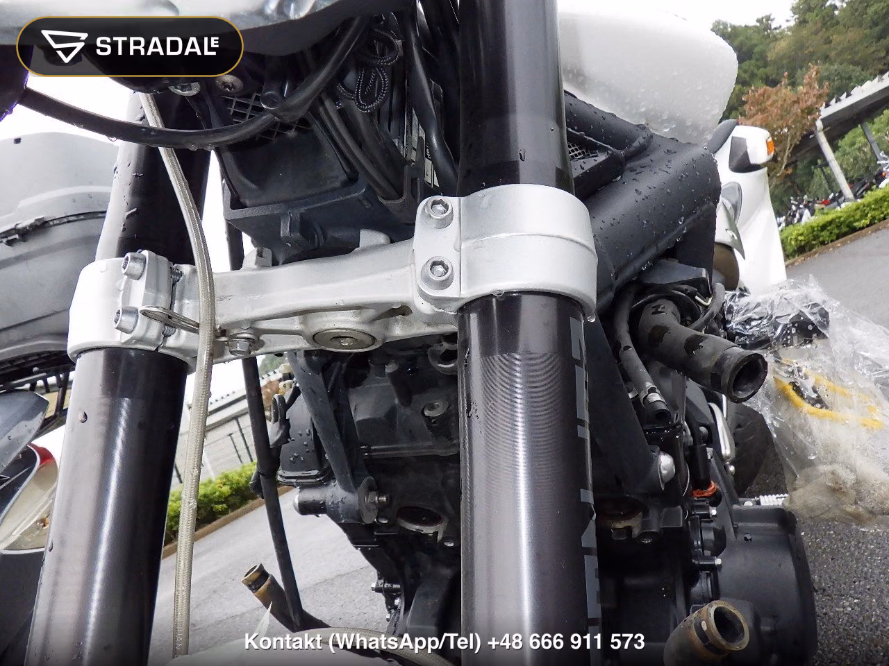 TRIUMPH ｽﾄﾘｰﾄﾄﾘﾌﾟﾙR, miniaturka 8