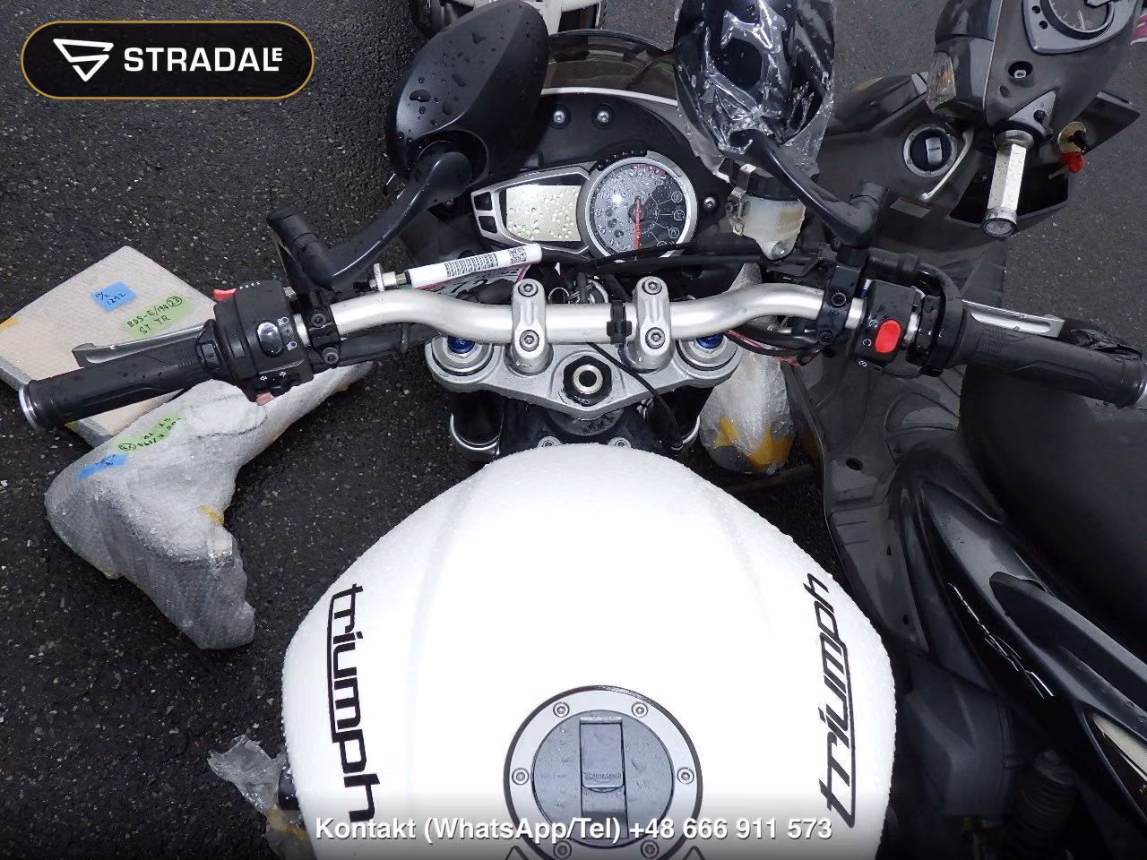TRIUMPH ｽﾄﾘｰﾄﾄﾘﾌﾟﾙR, miniaturka 9