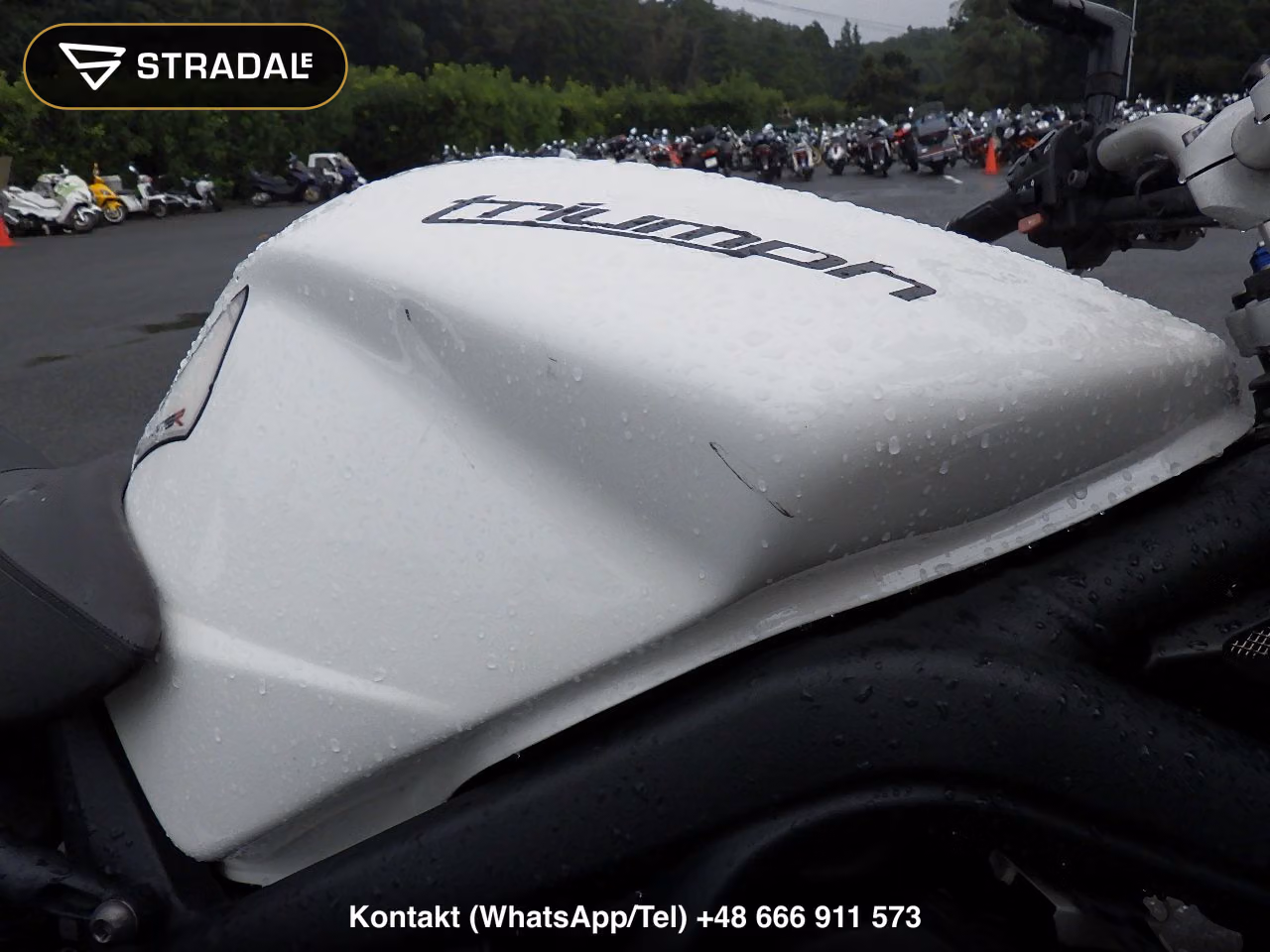 TRIUMPH ｽﾄﾘｰﾄﾄﾘﾌﾟﾙR, miniaturka 10