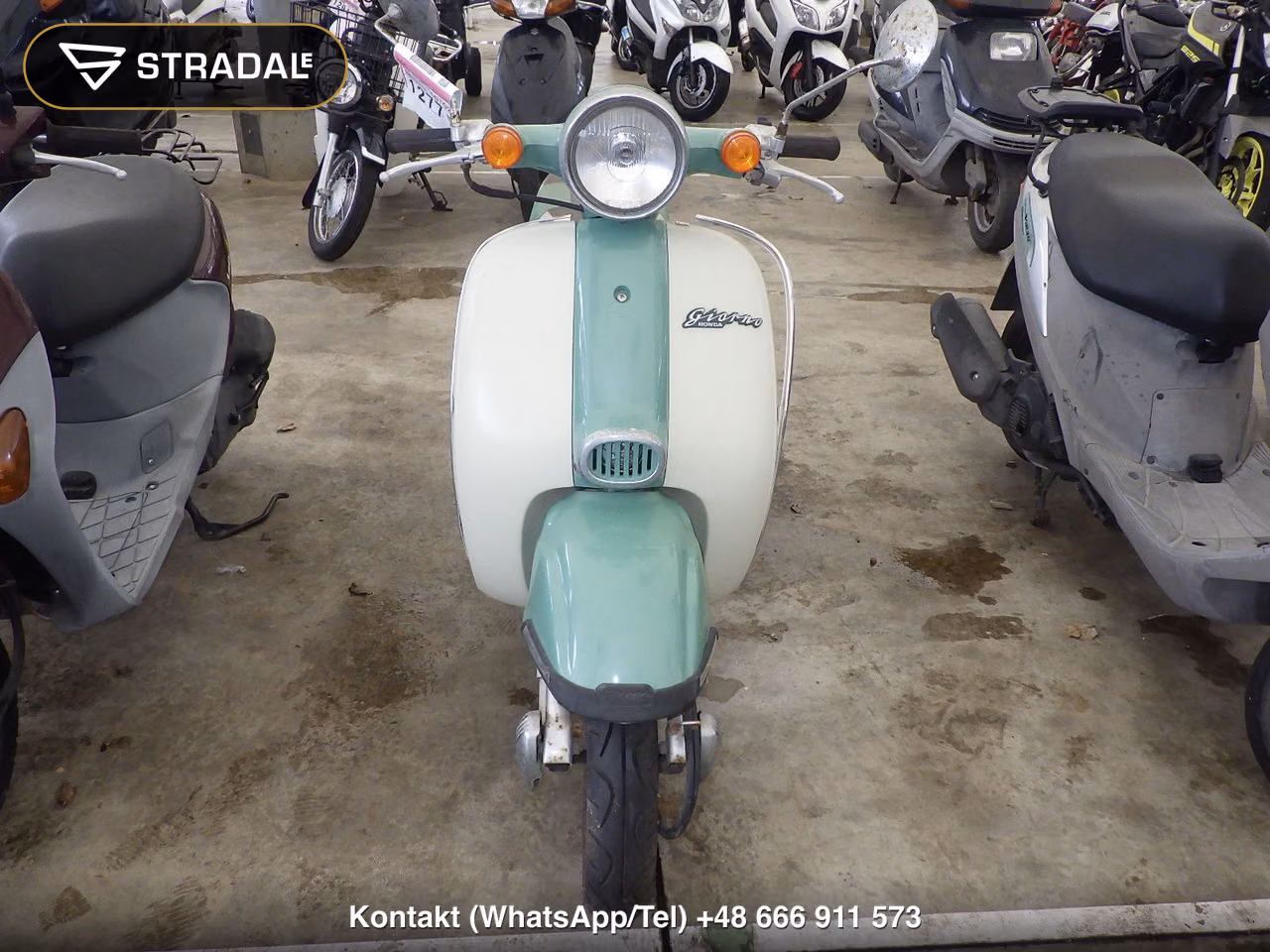 HONDA ｼﾞｮﾙﾉ, miniaturka 6