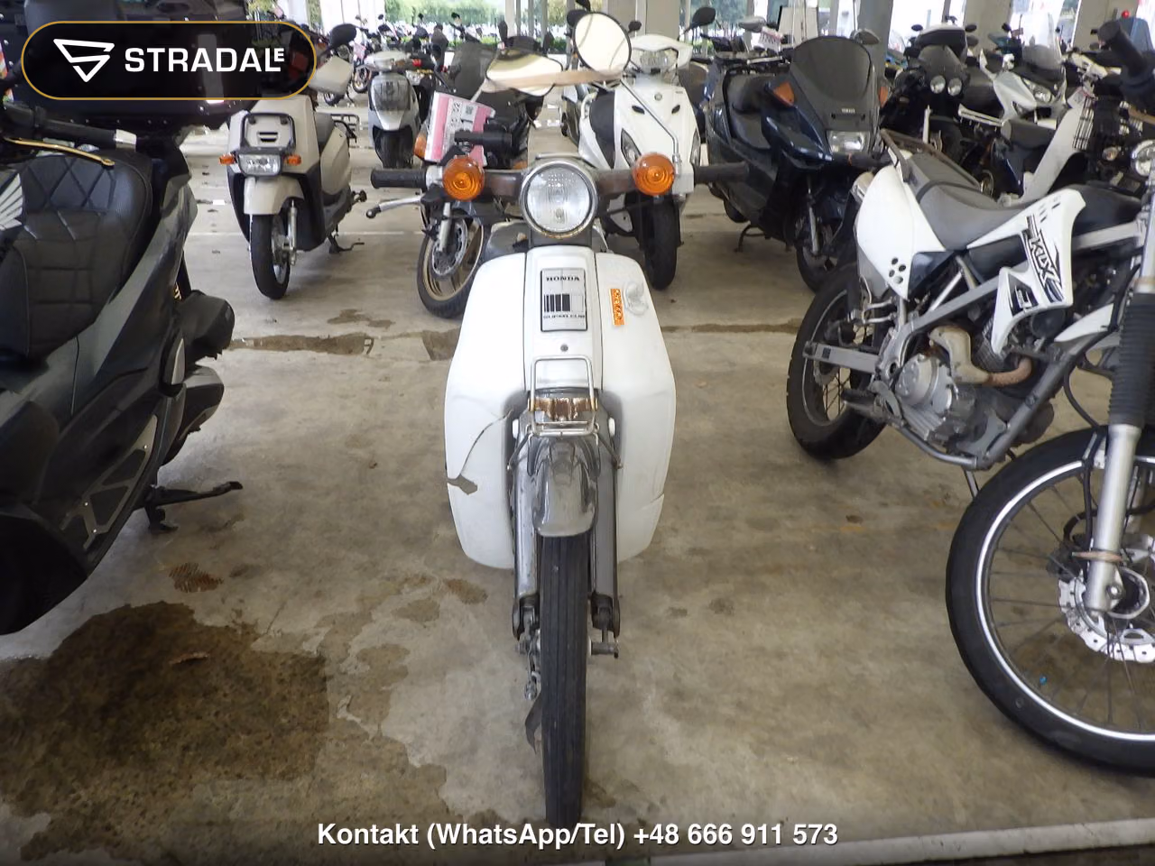 HONDA C50, miniaturka 6