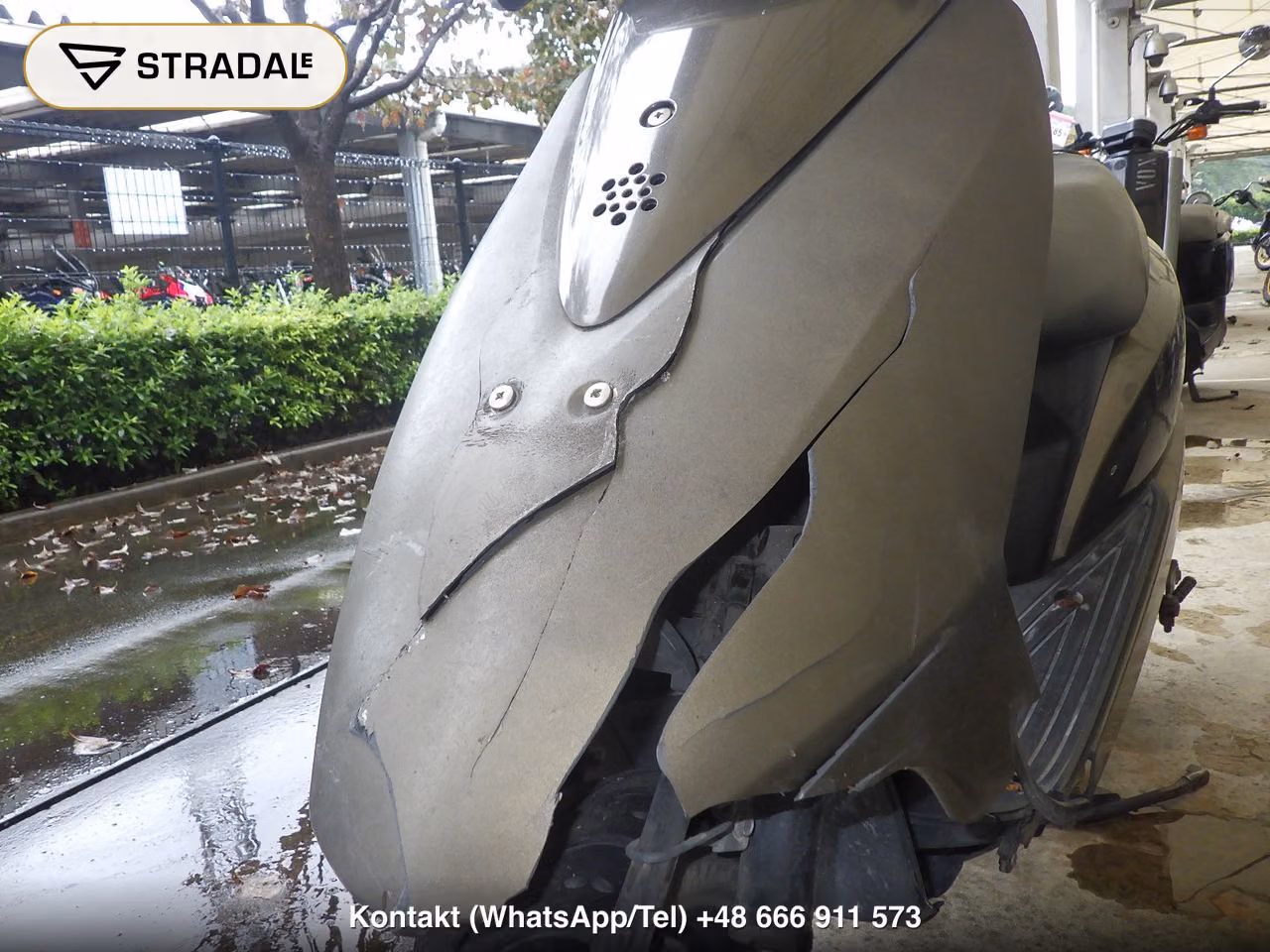 HONDA DIO-6, miniaturka 12