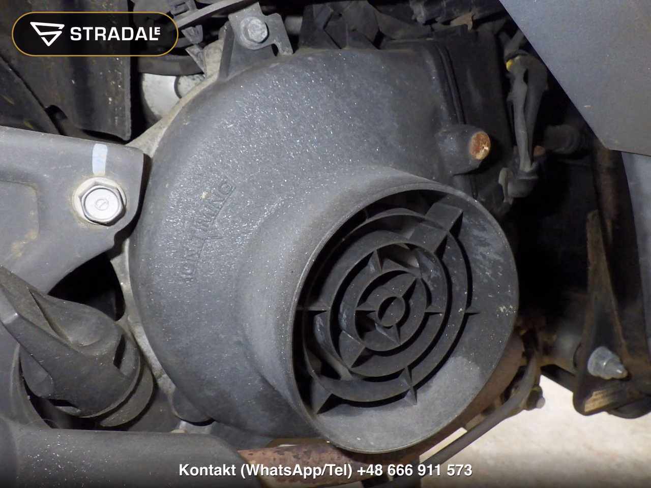 HONDA DIO-6, miniaturka 2