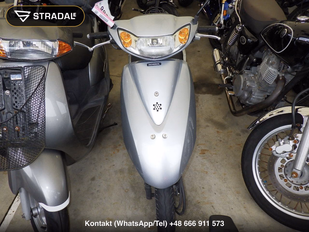 HONDA DIO-6, miniaturka 6