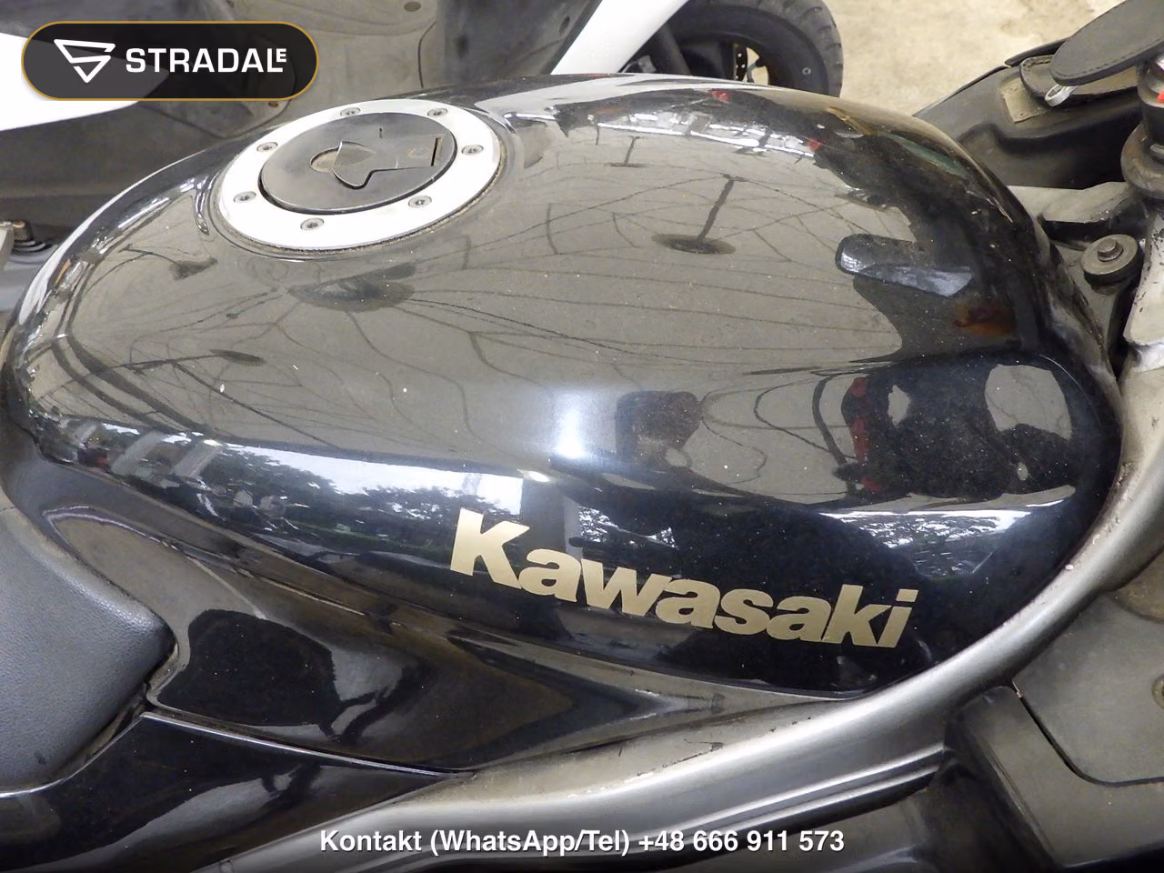 KAWASAKI ZZ-R250, miniaturka 11