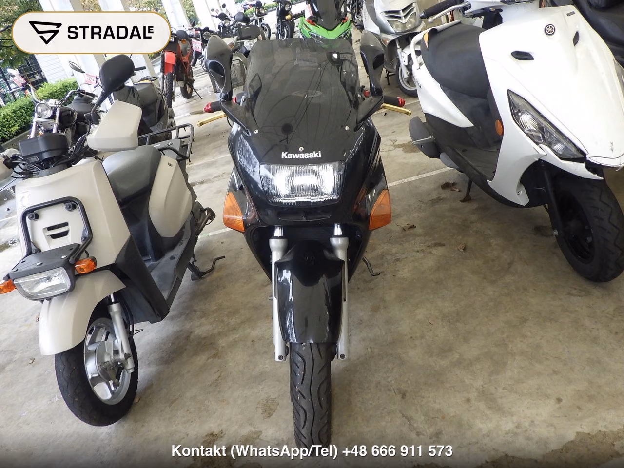 KAWASAKI ZZ-R250, miniaturka 6