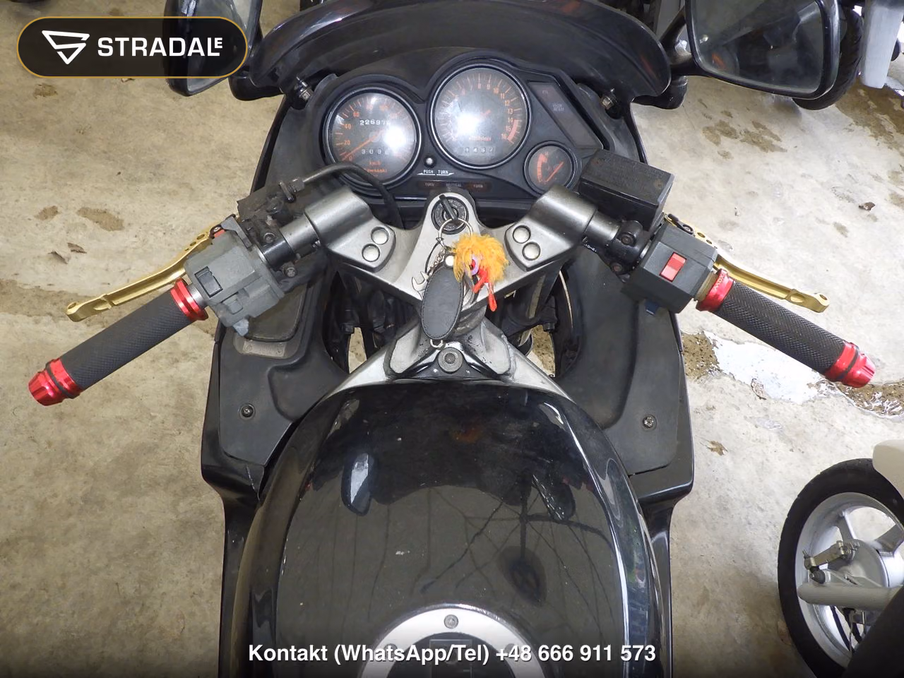 KAWASAKI ZZ-R250, miniaturka 9