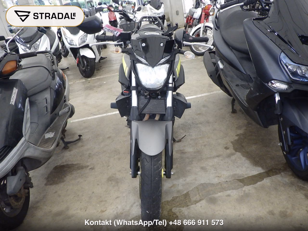 YAMAHA MT-25, miniaturka 6