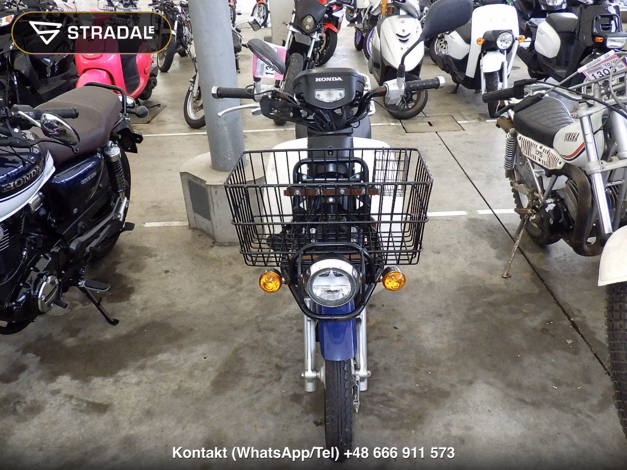 HONDA C50-3, miniaturka 6