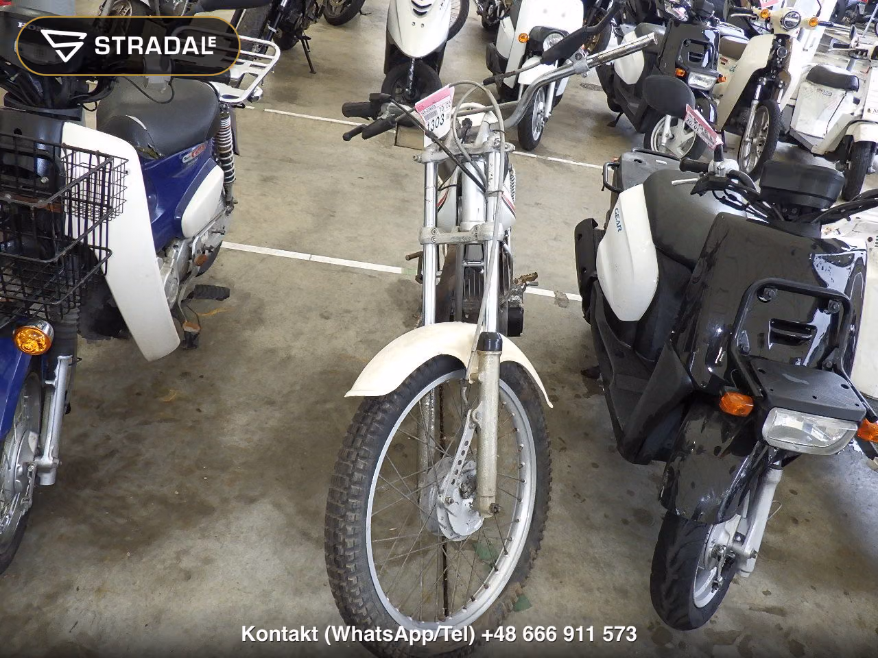 YAMAHA TY175, miniaturka 6