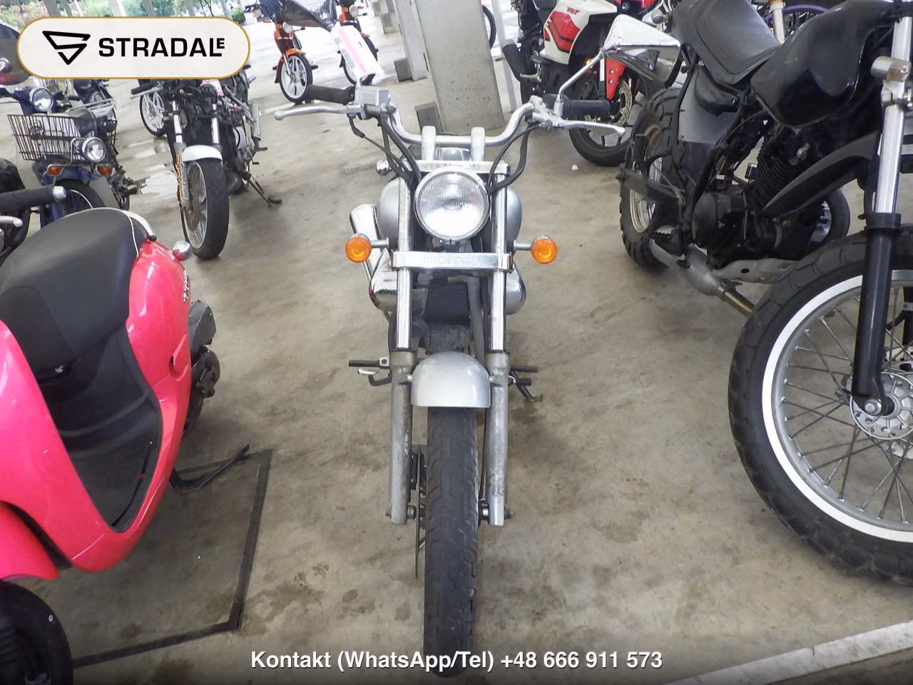 HONDA ﾏｸﾞﾅ50, miniaturka 6