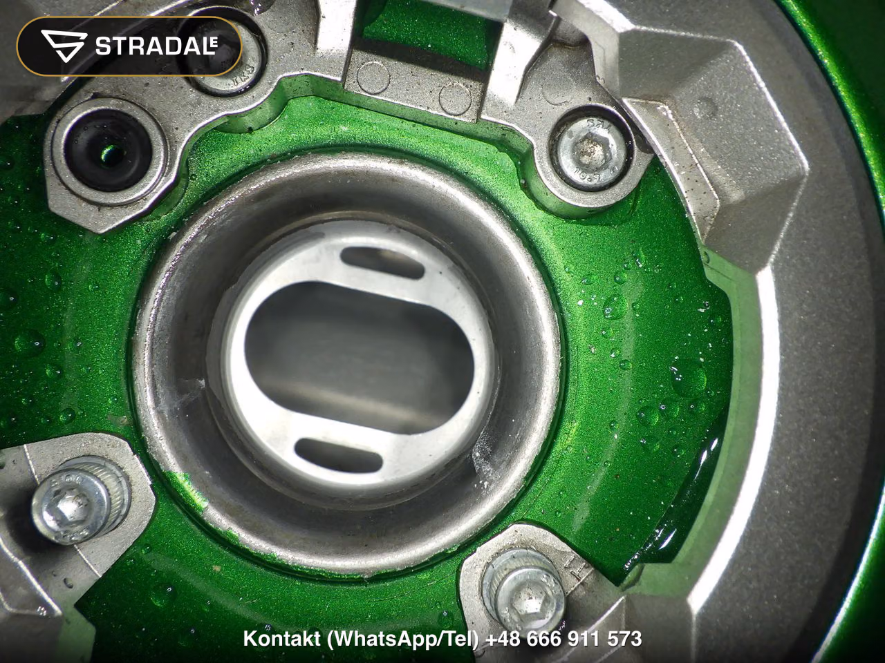 KAWASAKI NINJA H2 SX SE, miniaturka 10