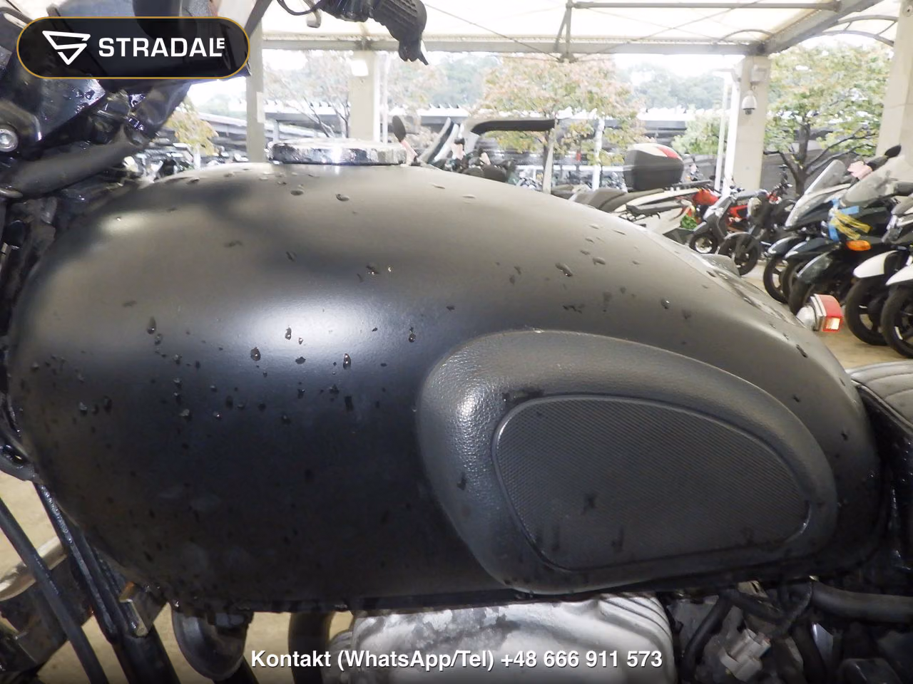 KAWASAKI W800, miniaturka 12