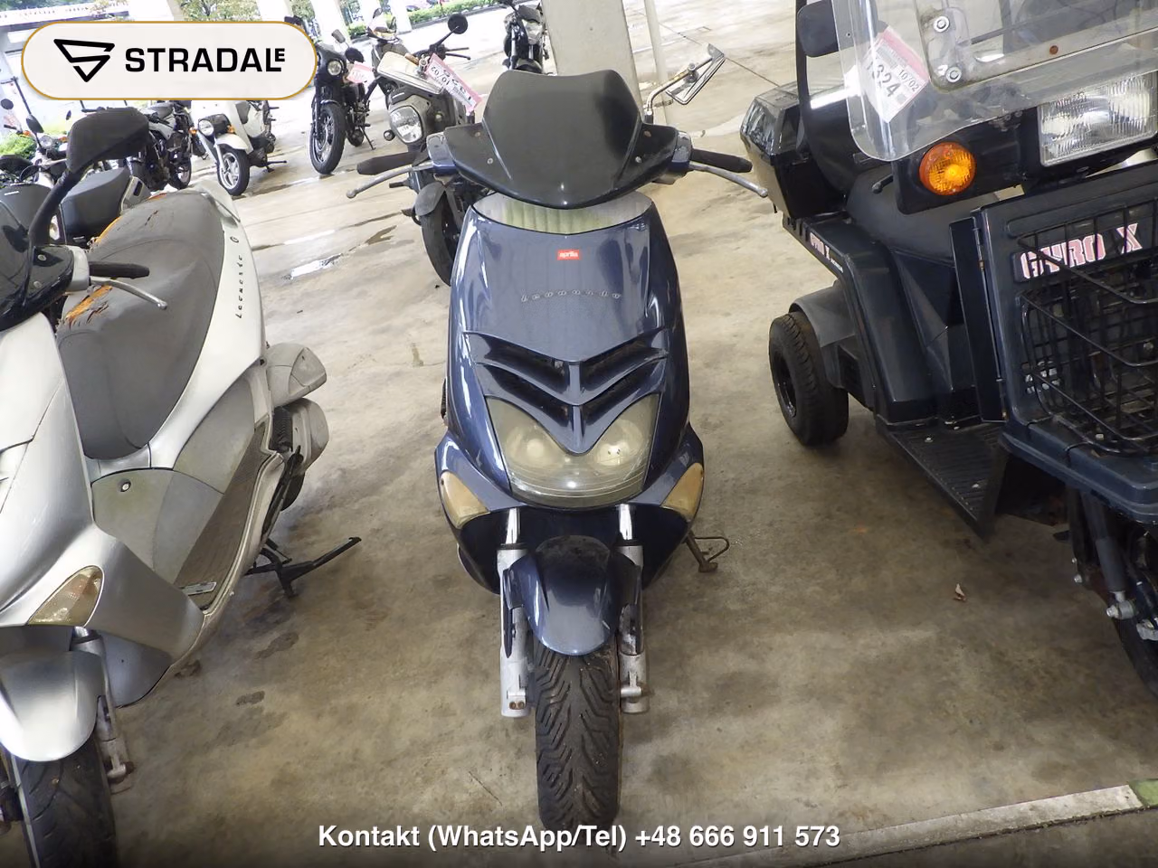 APRILIA ﾚｵﾅﾙﾄﾞ250, miniaturka 6