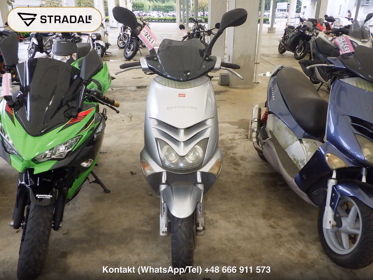 APRILIA ﾚｵﾅﾙﾄﾞ250, miniaturka 6