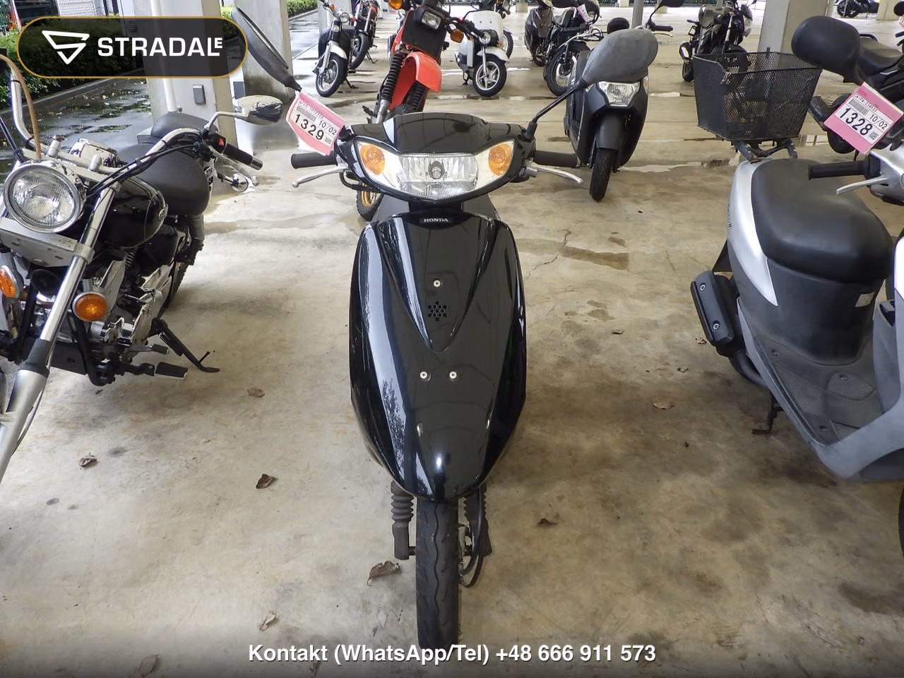 HONDA DIO-6, miniaturka 6