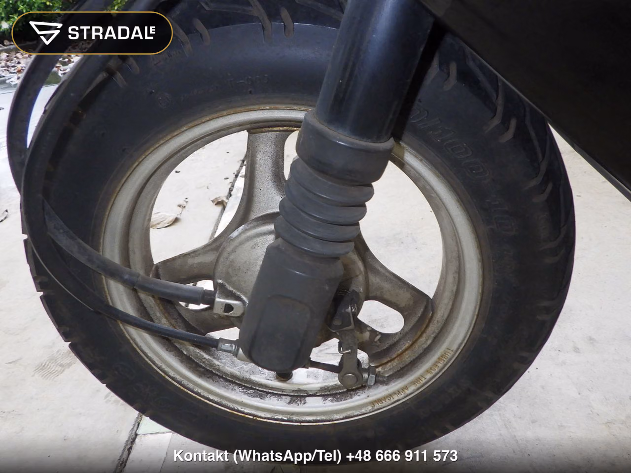 HONDA DIO-6, miniaturka 9