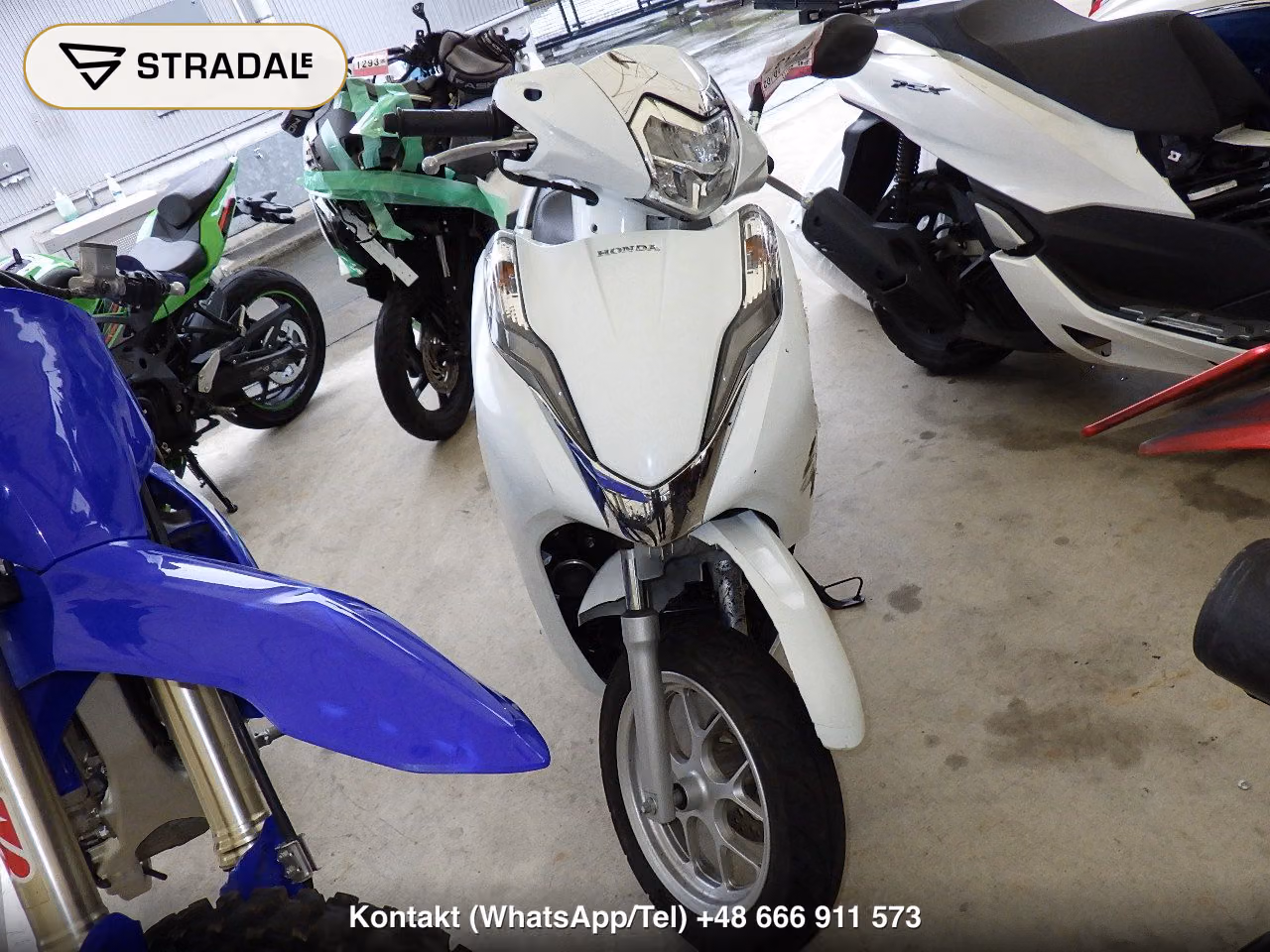 HONDA LEAD125, miniaturka 6