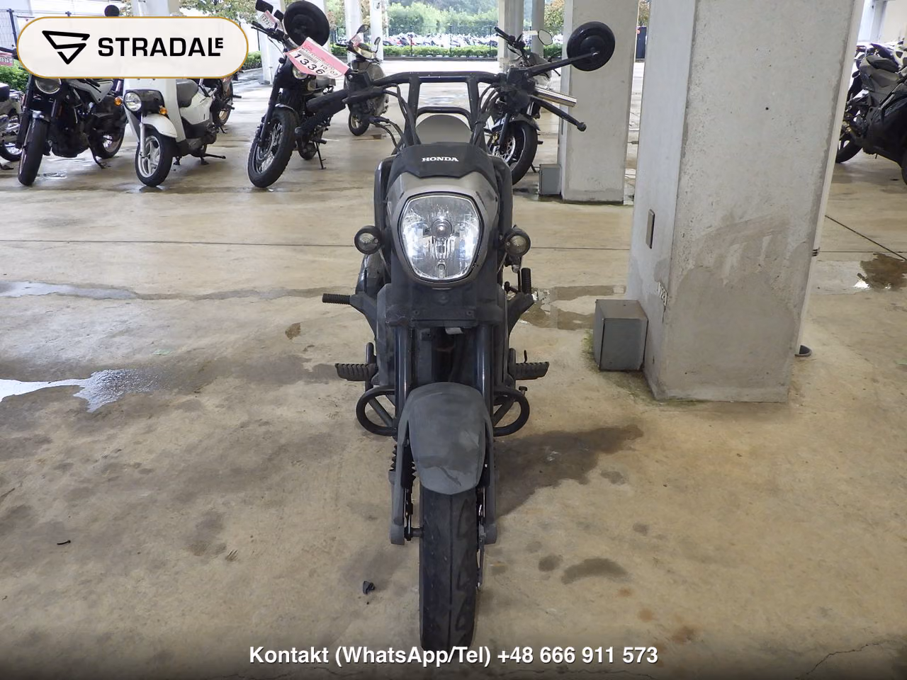HONDA NAVI110, miniaturka 6