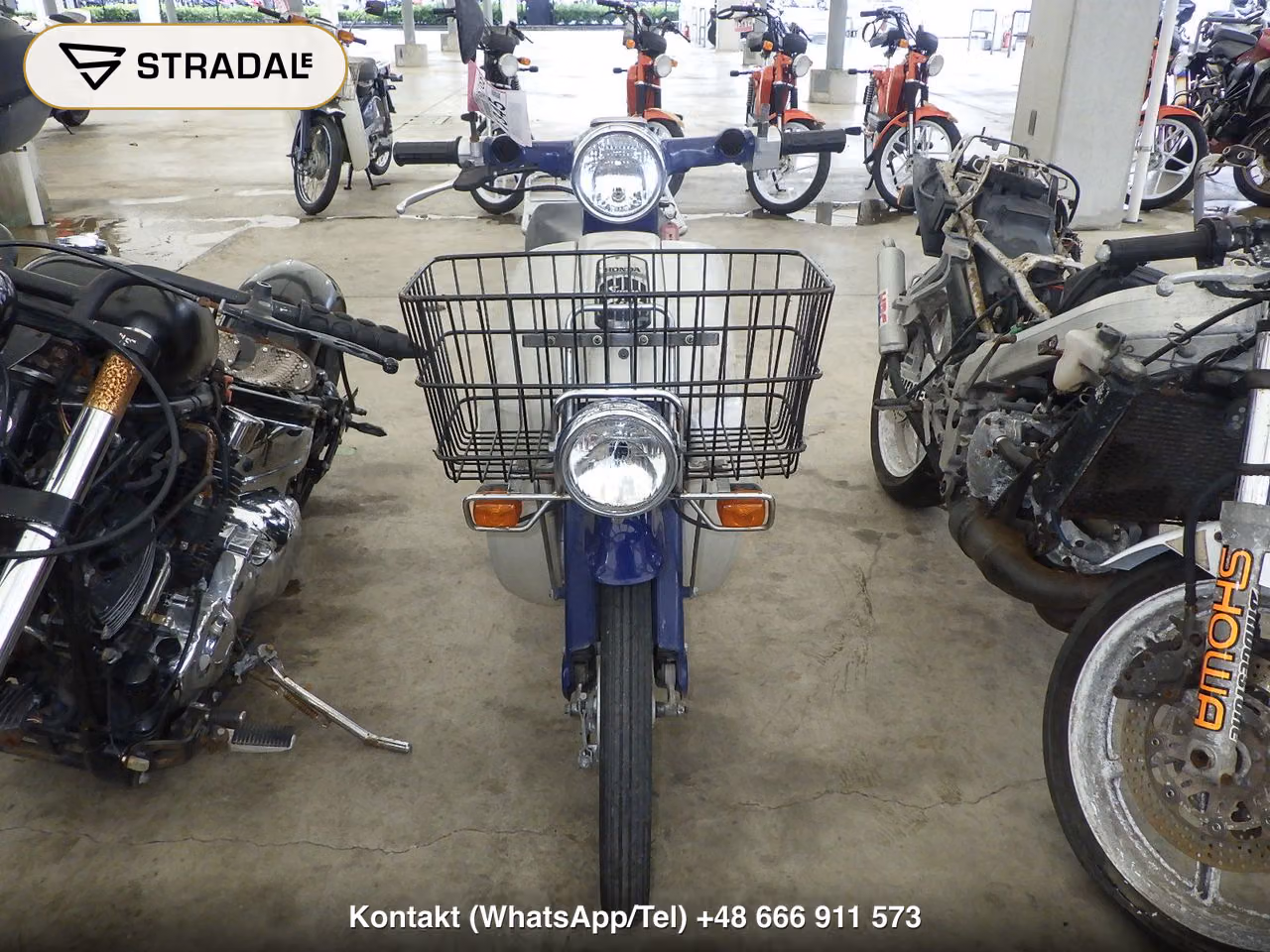 HONDA C50, miniaturka 6