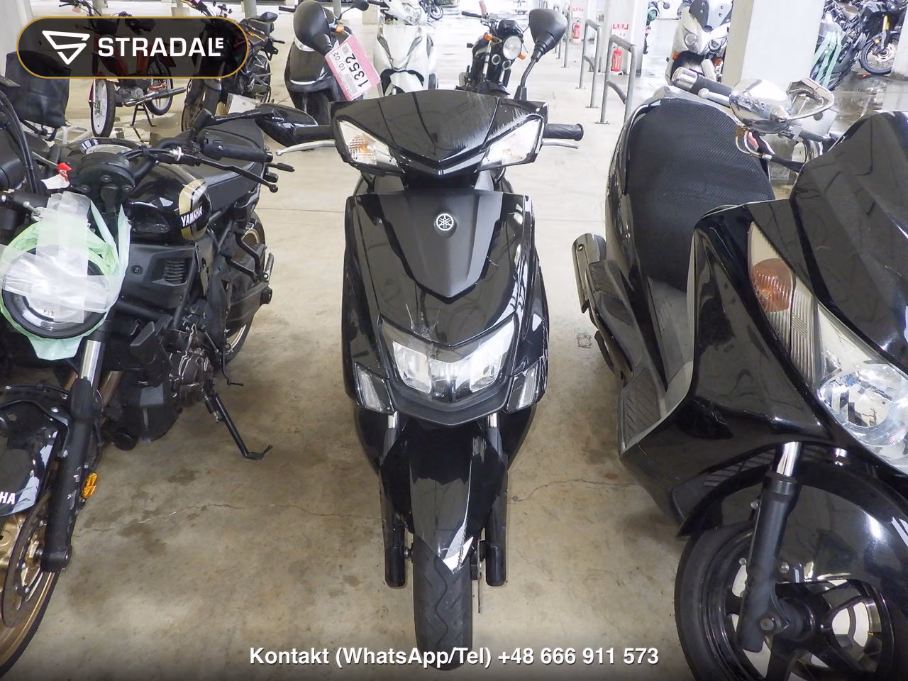 YAMAHA ｼｸﾞﾅｽ125XSR-3, miniaturka 6