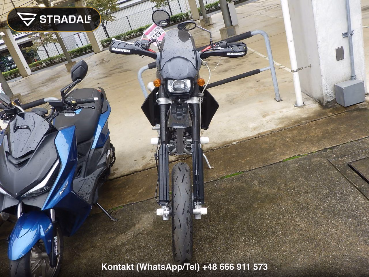 SUZUKI 250SB, miniaturka 6
