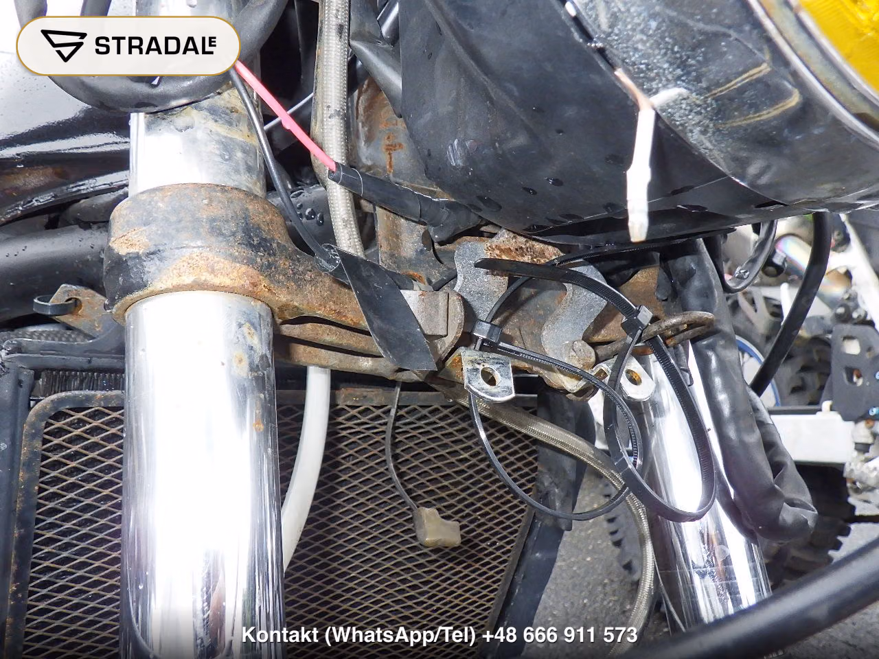 KAWASAKI BALIUS, miniaturka 7