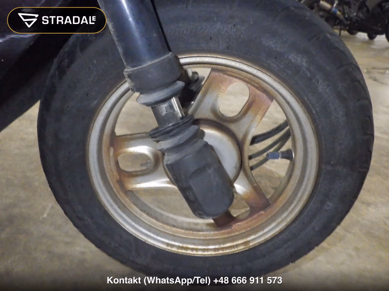 HONDA DIO-6, miniaturka 7