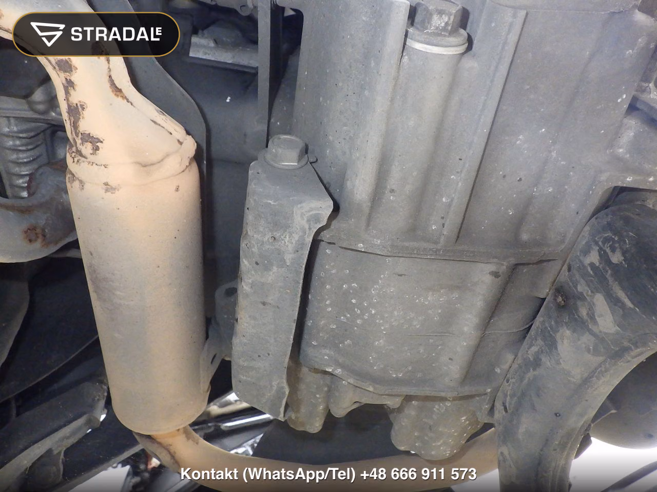 HONDA DIO110-3ﾍﾞｰｼｯｸ, miniaturka 4