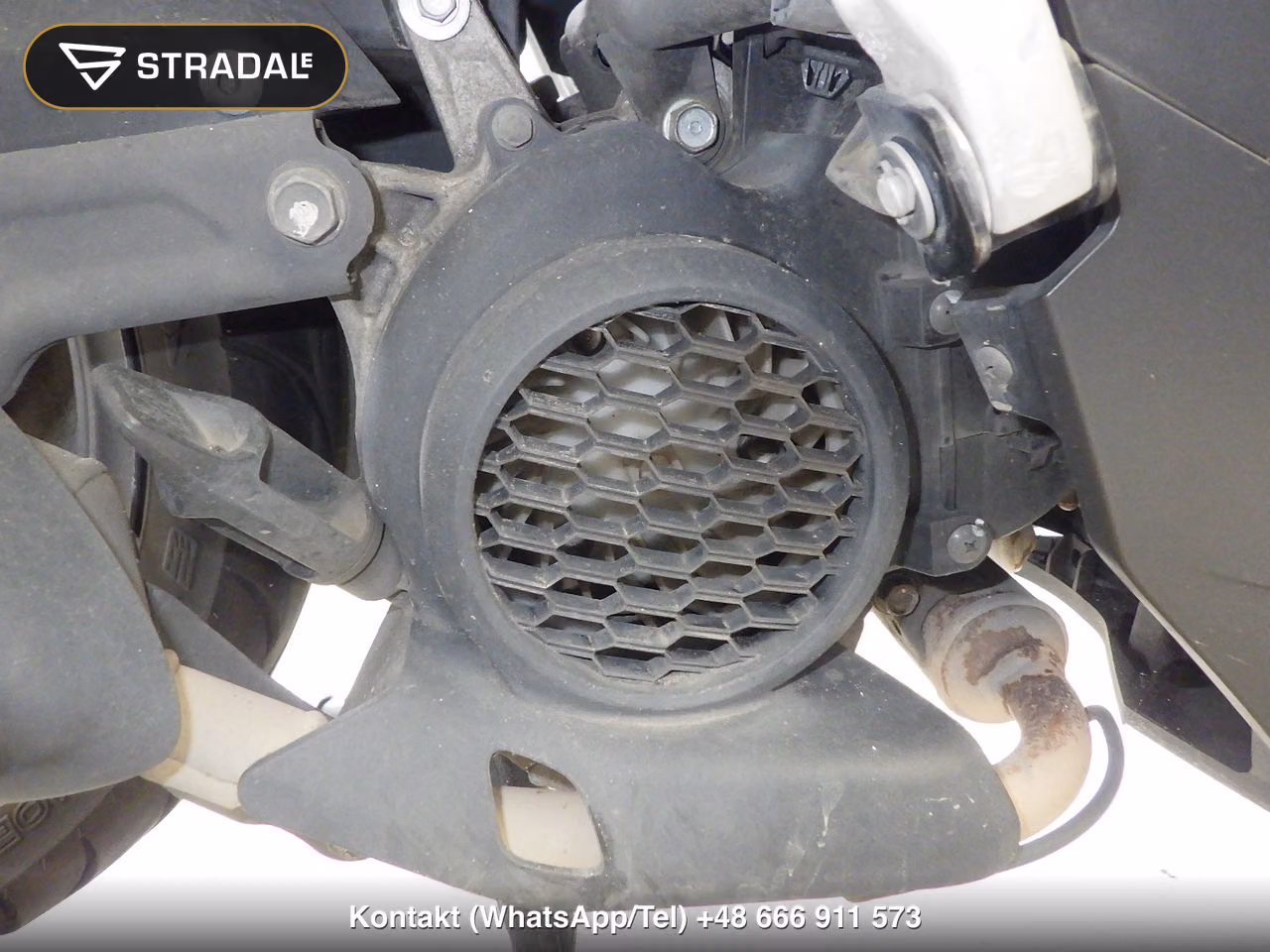 HONDA DIO110-3ﾍﾞｰｼｯｸ, miniaturka 5