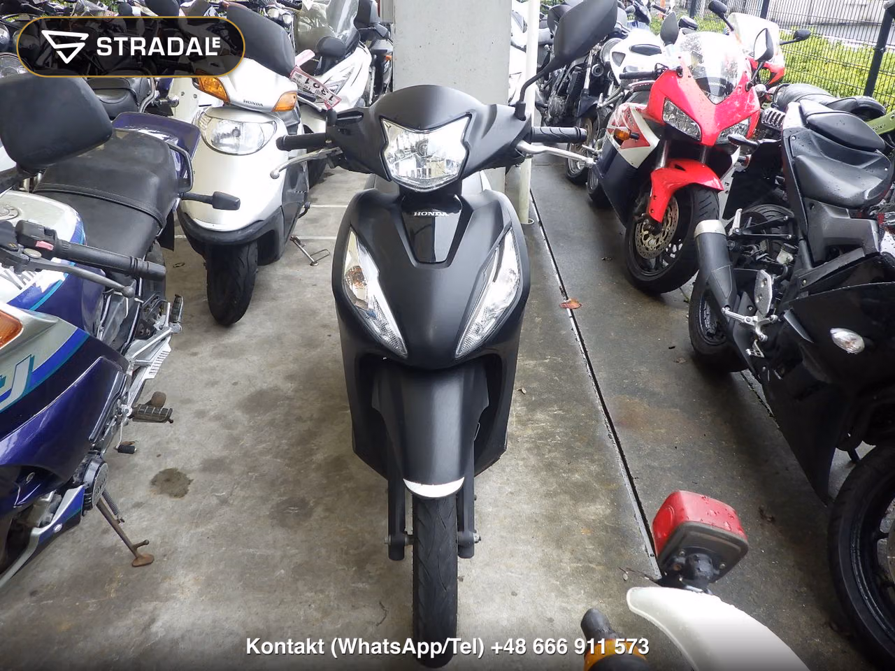 HONDA DIO110-3ﾍﾞｰｼｯｸ, miniaturka 6