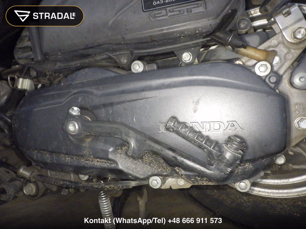 HONDA ﾀｸﾄ-4ﾍﾞｰｼｯｸ, miniaturka 3