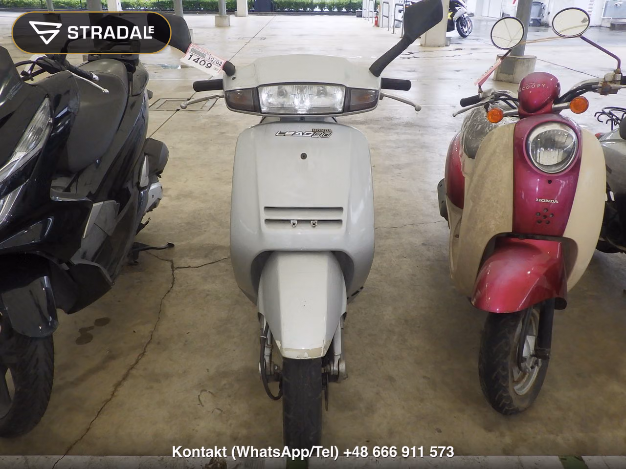 HONDA ﾘｰﾄﾞ90, miniaturka 6