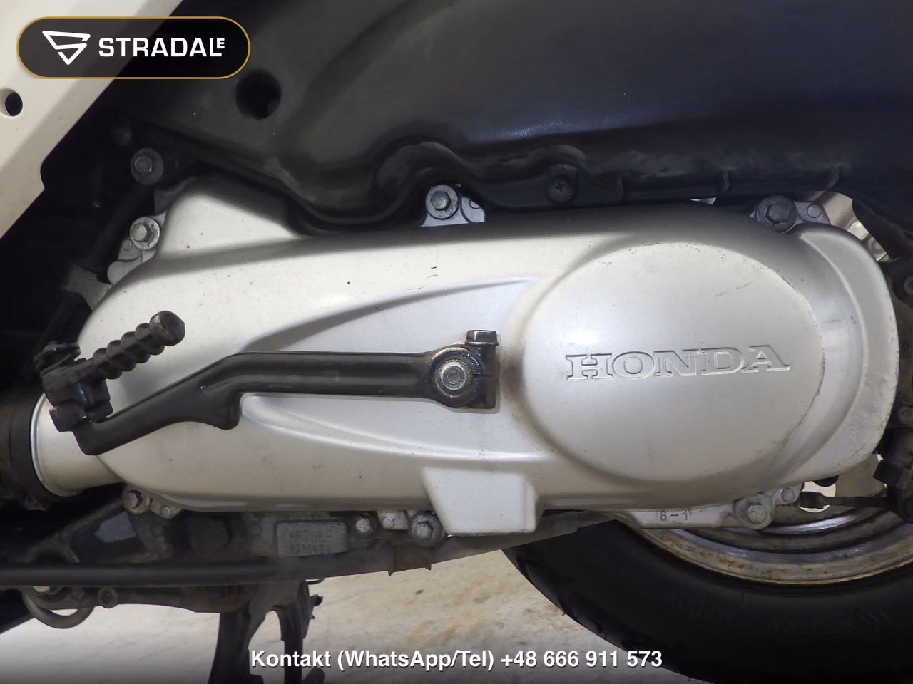 HONDA DIOﾁｪｽﾀ-2, miniaturka 3